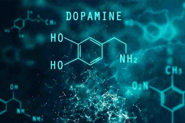 دوپامین، عامل اصلی لذت و اعتیاد